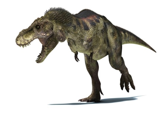 ティラノサウルス